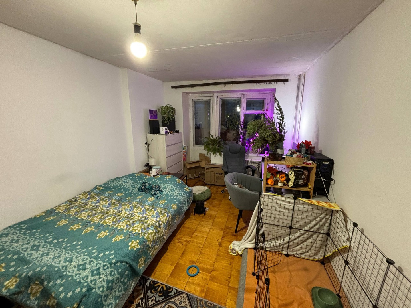 ЗВОНИТЕ СЕЙЧАС! Актуальна с 3.05, смотреть уже можно 
Сдается 1-комнатная квартира на Юго-Запада около Фан-Фана
+ Имеется плита с духовкой
+ Сан. узел раздельный
+ Большая застекленная лоджия
+ Коммунальные дополнительно: лето 3000, зима 4500
+ Проведены интернет (Wi-Fi) и телевидение
Ремонт можно о